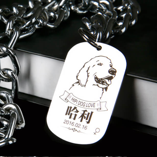 Portable Pet Dog Tag Laser Engraving Machine Engraver Buy Dog Tag 