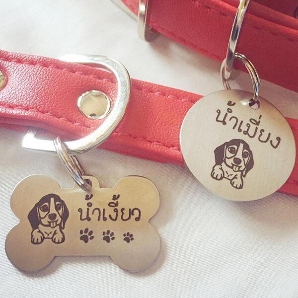 China Laser Engraving Machine For Pet Dog Tag Tags